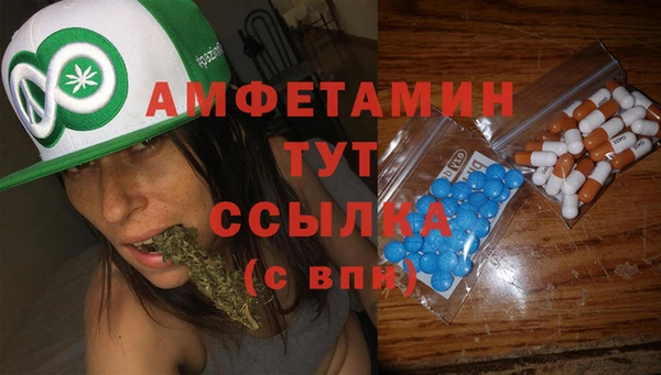 ГАЛЛЮЦИНОГЕННЫЕ ГРИБЫ Алексин