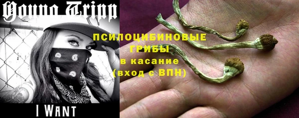 ГАЛЛЮЦИНОГЕННЫЕ ГРИБЫ Алексин