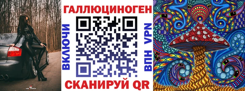 Купить  Невель  Галлюциногенные грибы Psilocybe 